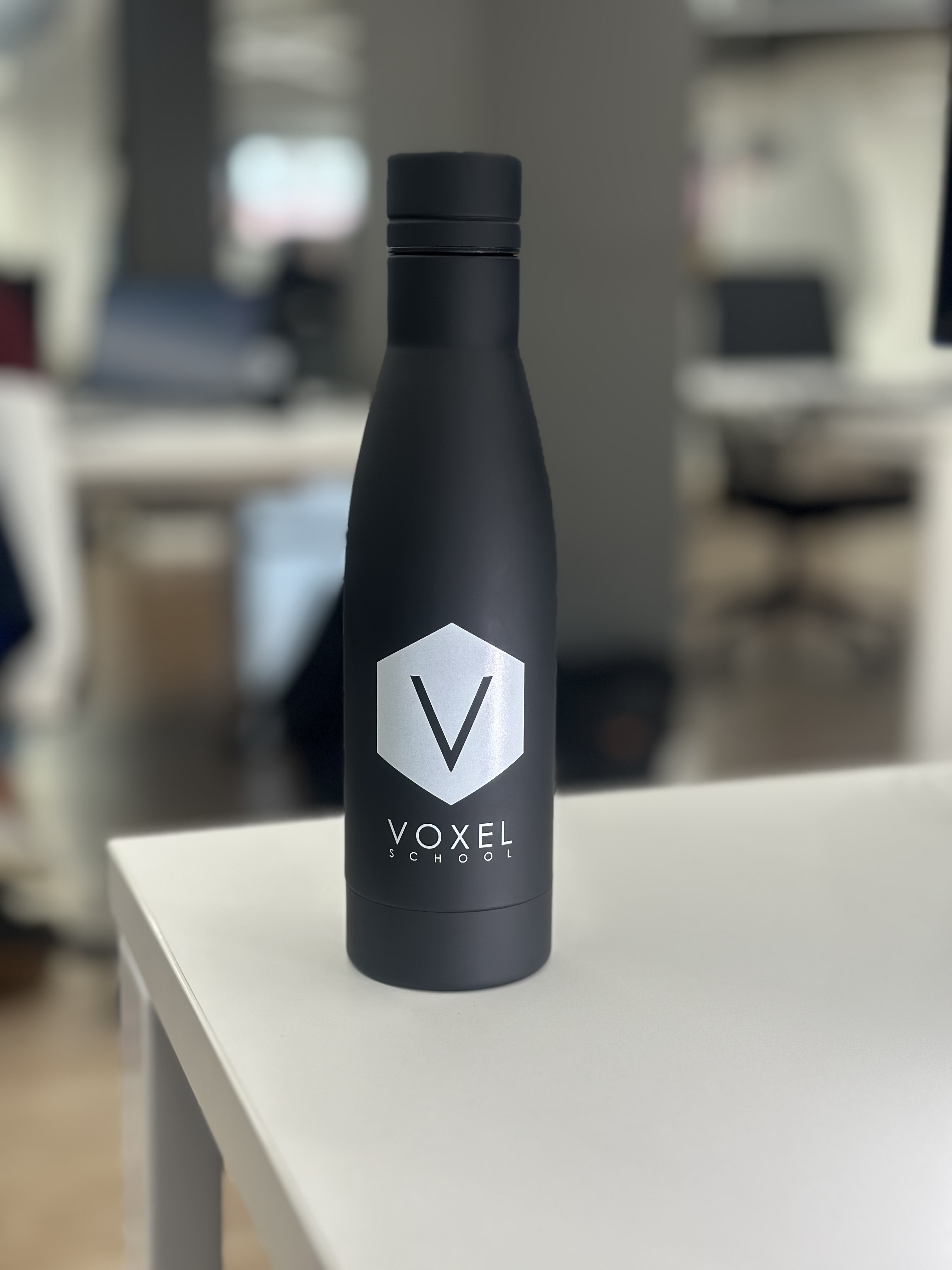 Botella Voxel School